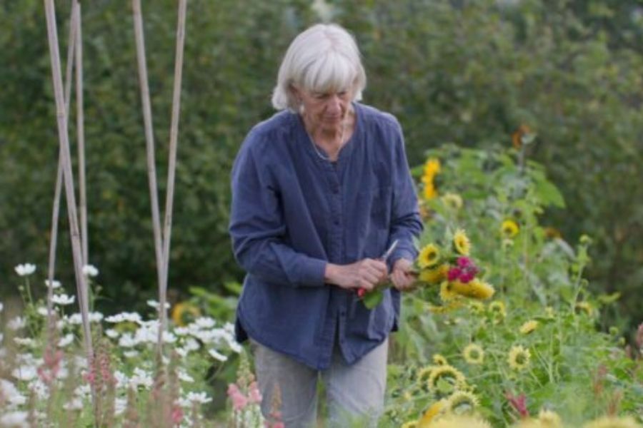 A lady walking slowly through her lovely garden full of flowers