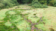 Stream running through a grassy field with log barriers and woody debris in places.