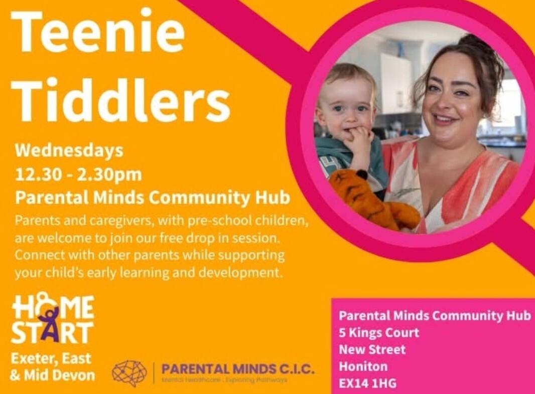 Teenie Tiddlers poster