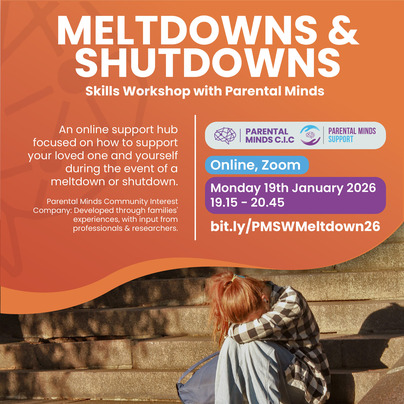 Meltdowns workshop 