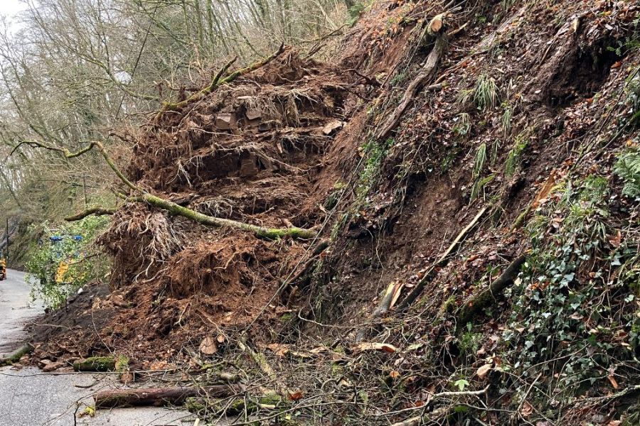 Picture of landslip 