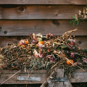 garden waste ready for composting