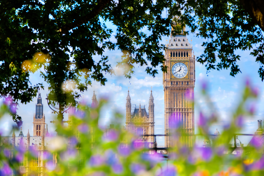 Big Ben and the Palace of Westminster framed by tree branches and colourful flowers in the foreground.