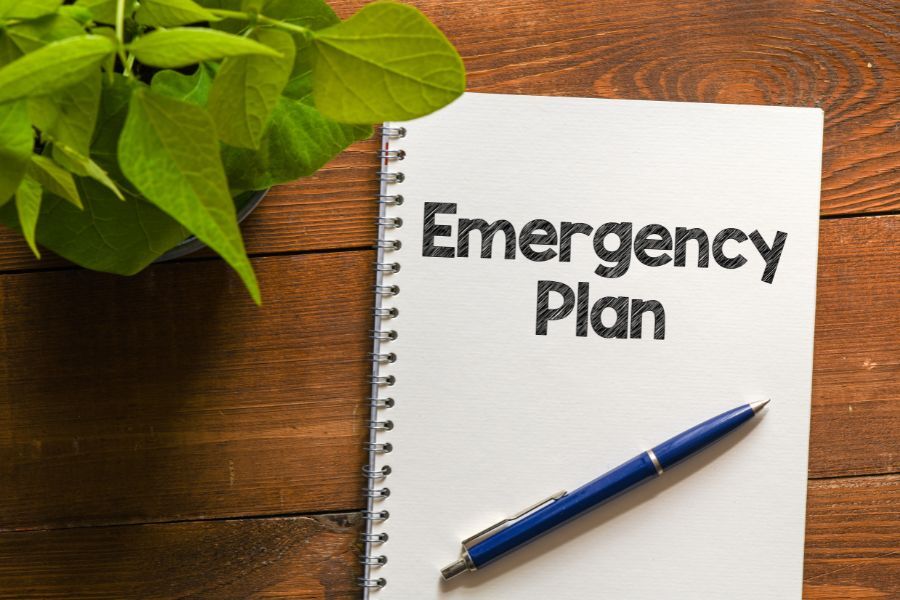 A book on a table on which it's written, 'emergency plan', The table has a plant on it.