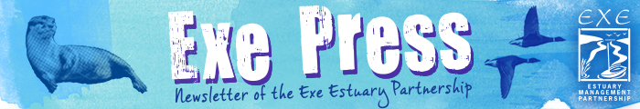 Exe Press Header - blue