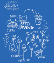 blue flyer for Exeter Seed Bank