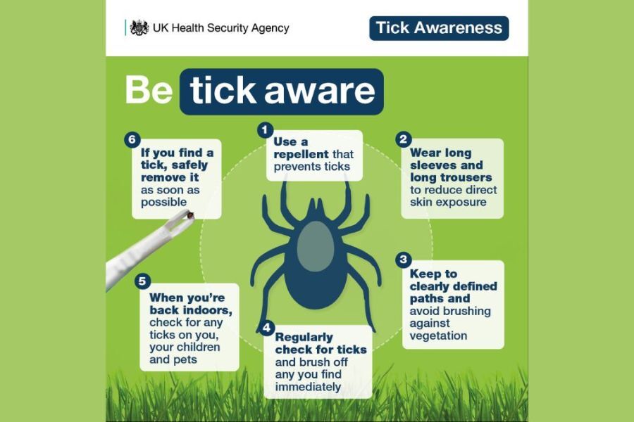It shows a large tick illustration and six safety tips around it. 