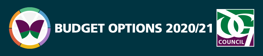 Budget Options Header image