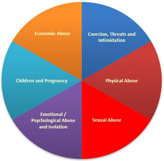 conference pie chart