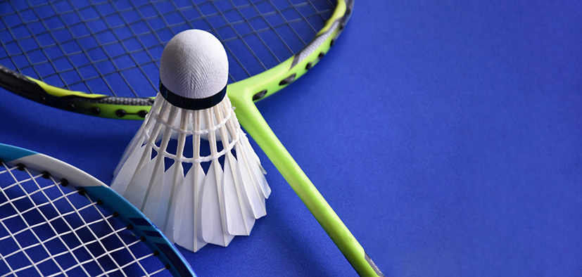 badminton image