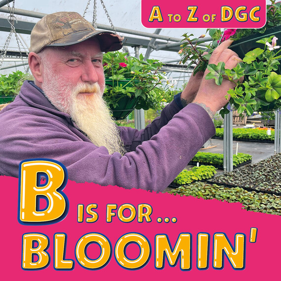 B is for bloomin'