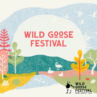 Wild goose festival illustration