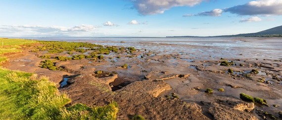 image of a part of the Solway coast