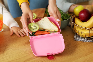 packed lunch with a child and women's hands