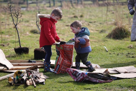 Rephad tree planting