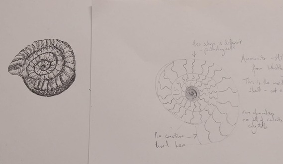 sketch example