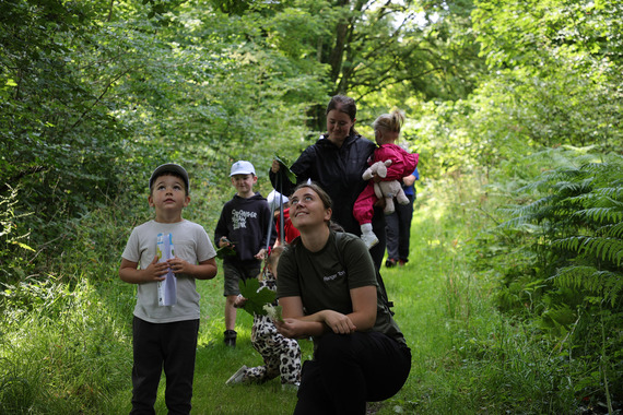 woodland walks