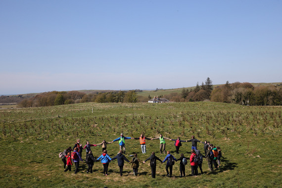 DG Woodlands_Knocktall Wood Visit Group replicating the size of the biggest tree in the world