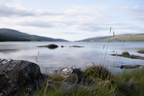 landscape image
