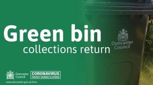 Green bin