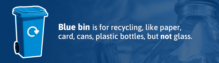 blue bins