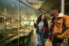 Dover Museum - Bronze Age Boat Gallery