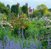 Mindfulness in Nature at Goodnestone Park