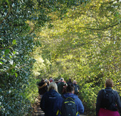 Pilgrimage Walk Canterbury to Shepherdswell