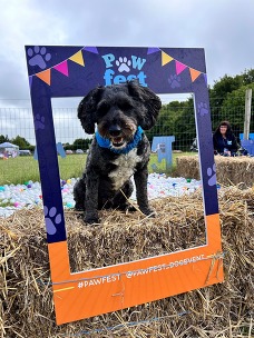 Pawfest
