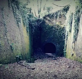 Fangtastic Fun at Fort Burgoyne