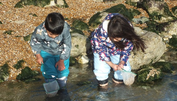 Rock pooling