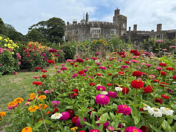 Zinnias at Walmer Castle Gardens