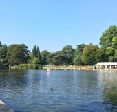 Model Boat Regatta at Kearsney Abbey
