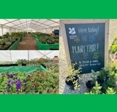 National Trust Plant Fair