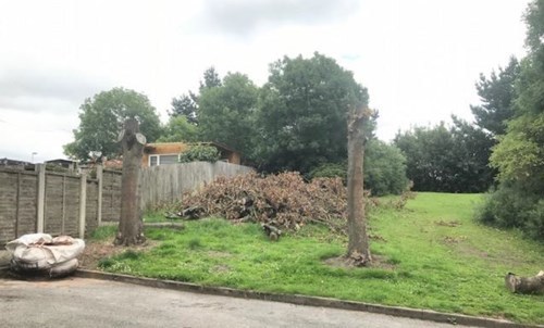 wealdstone drive trees