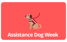 Assistance Dog Week 