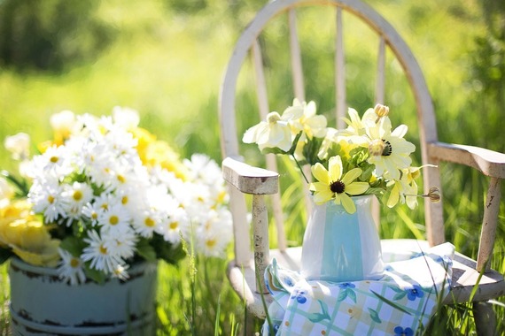 Daisies and summer flowers