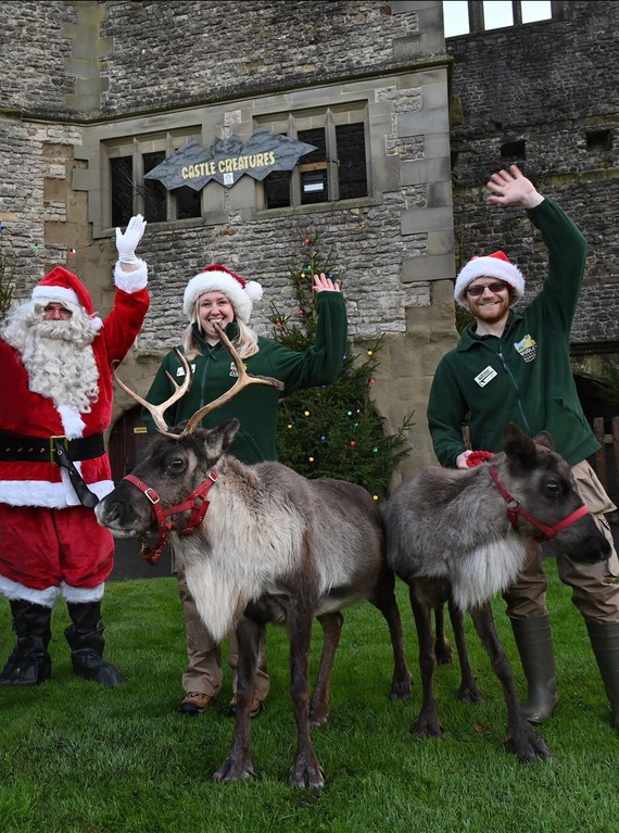 Dudley Zoo and Castle
