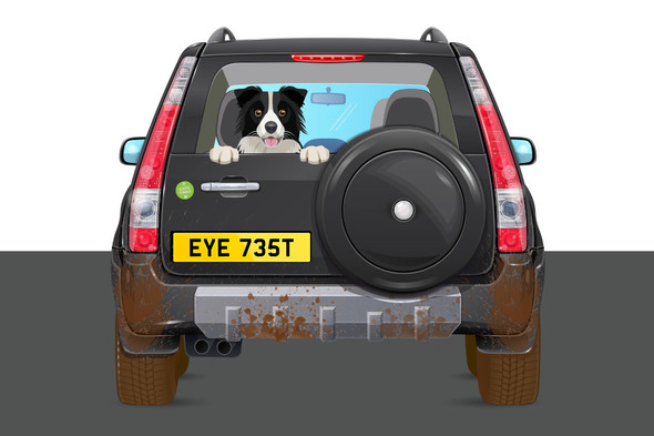 Dog and car image for DVLA's eyesight awareness campaign