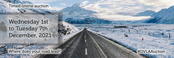 Timed Online Auction