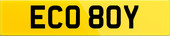 ECO 80Y