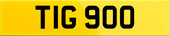 TIG 900