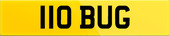 110 BUG