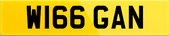 W166 GAN