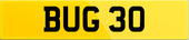 BUG 30