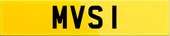 MVS 1