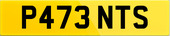 P473 NTS