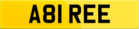 A81 REE