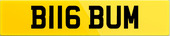 B116 BUM