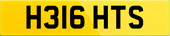 H316 HTS
